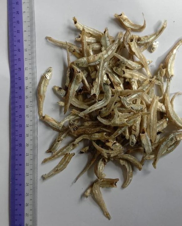Ikan Bilis Bulat Kecil - Borong 5 kg